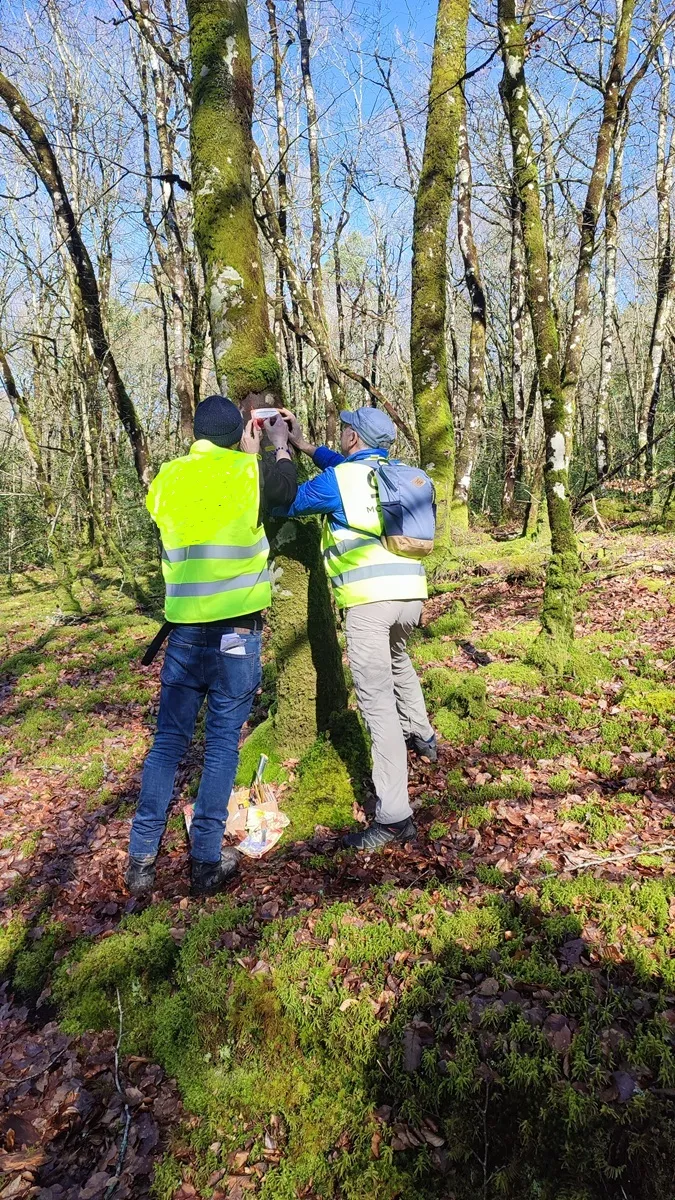 Les baliseurs du club au travail sur un sentier